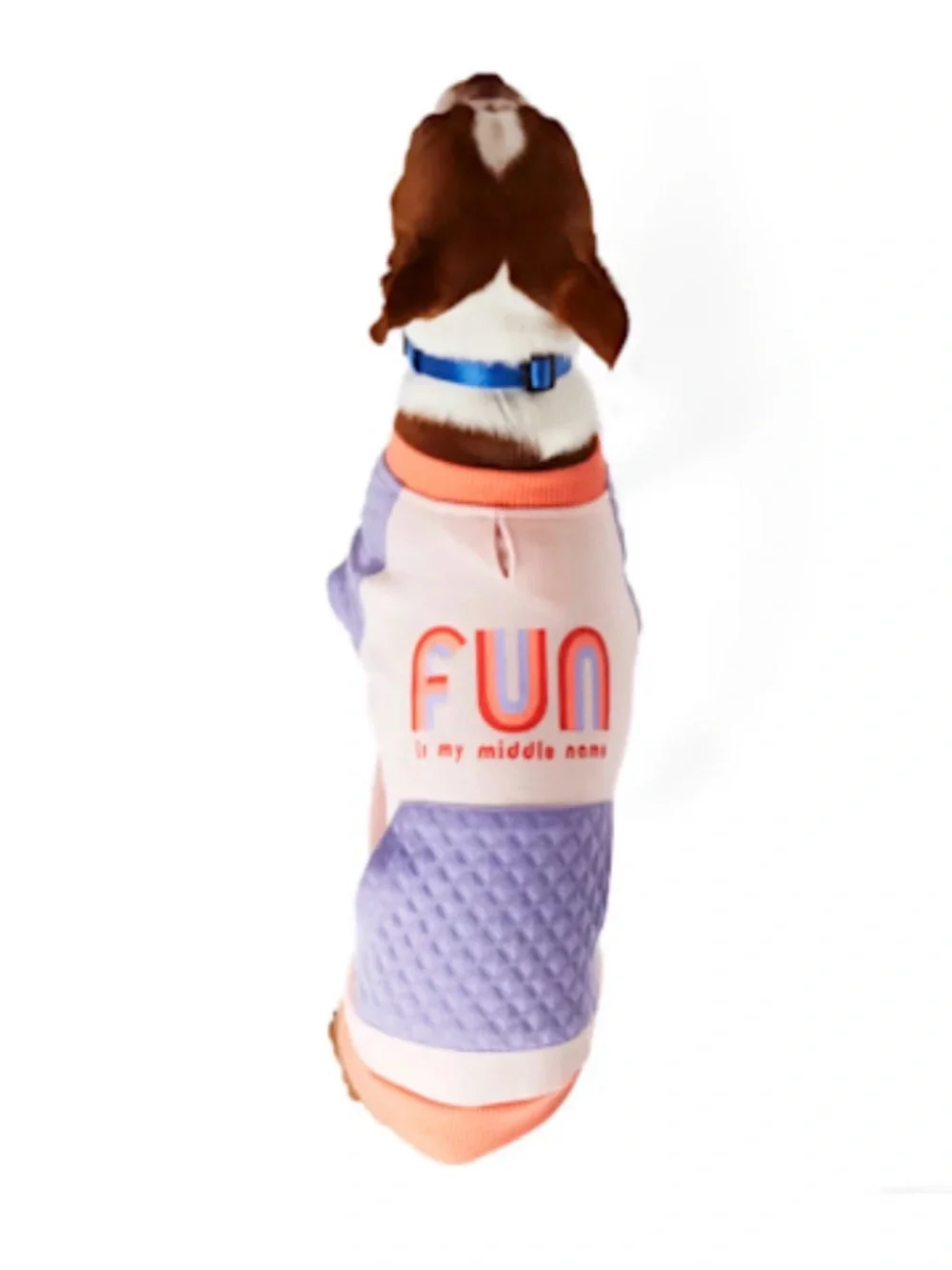 Youly playful fun